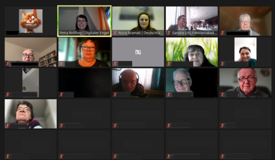 Screenshot der Online-Veranstaltung auf der Plattform Zoom. 16 Videos sind angeschaltet. Weitere neun Kacheln sind schwarz. Die Namen sind geschw&auml;rzt.