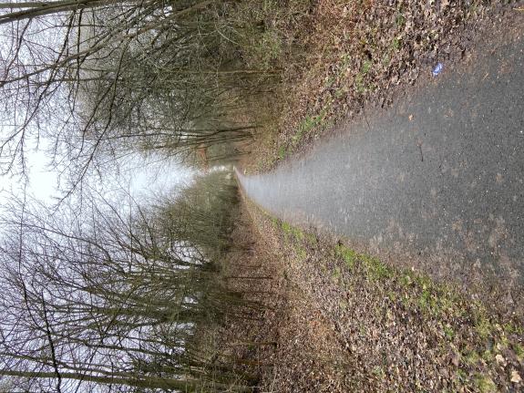 ehemalige Strecke der Eisenbahn in Droy&szlig;ig